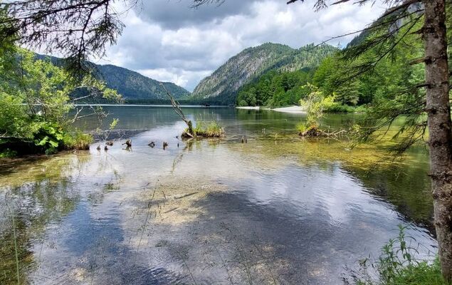 Adlerhorst / Top 5 - Photo 45