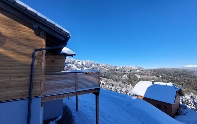 Diamondsky - Photo 33