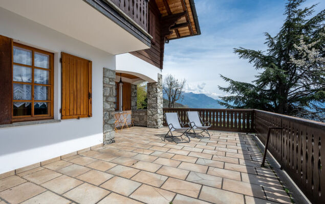 Hérisson - Photo 15