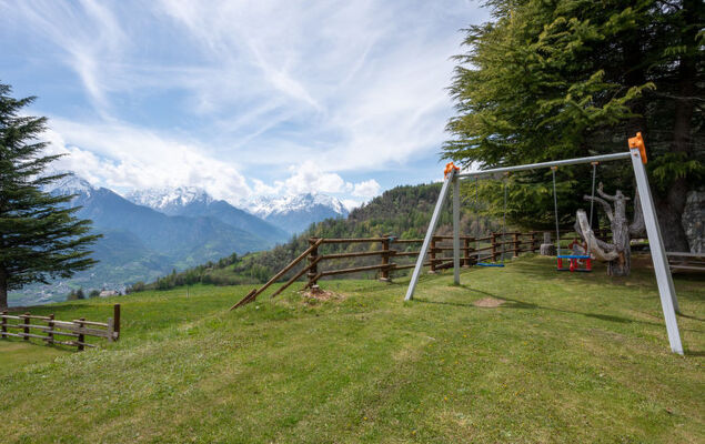 Hérisson - Photo 22