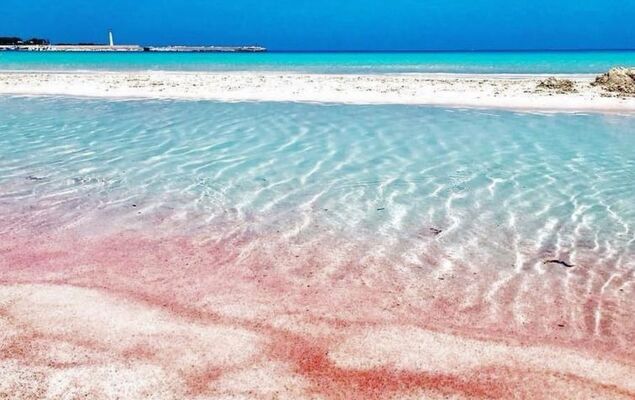 Gaia Verde - Photo 2