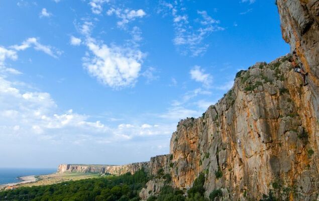 Gaia Verde - Photo 38