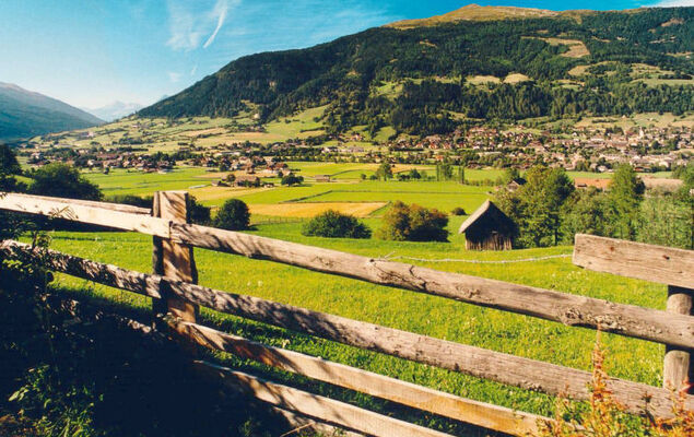 Mentenwirt - Photo 17