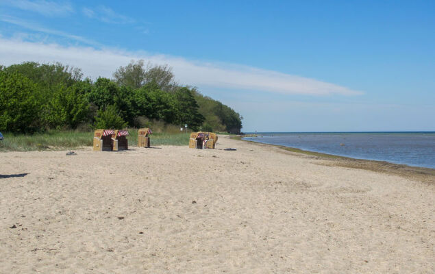 Gollwitzer Park (Insel Poel) - Photo 22