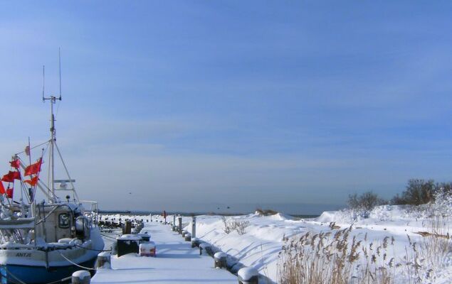 Gollwitzer Park (Insel Poel) - Photo 26