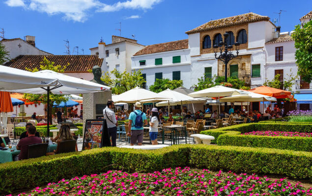 Duplex Milla de Oro - Photo 29