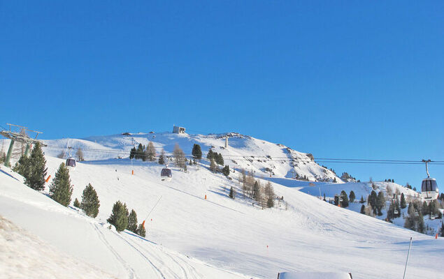 Cesa Galadriel - Photo 45