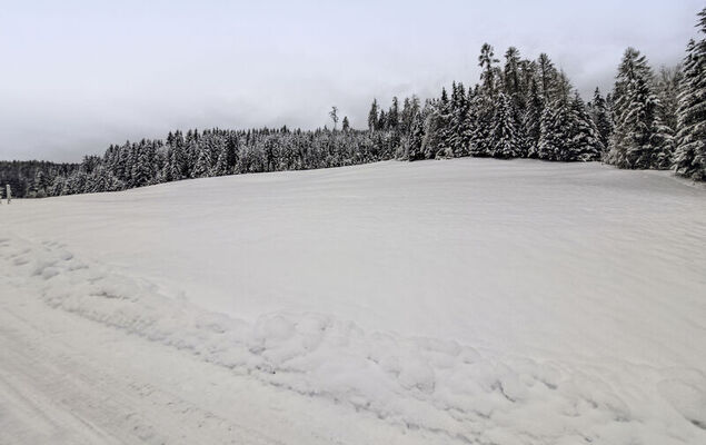 Hettegg Lehen - Photo 47