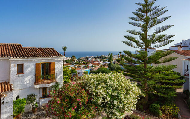 Los Olivos de Capistrano - Photo 42