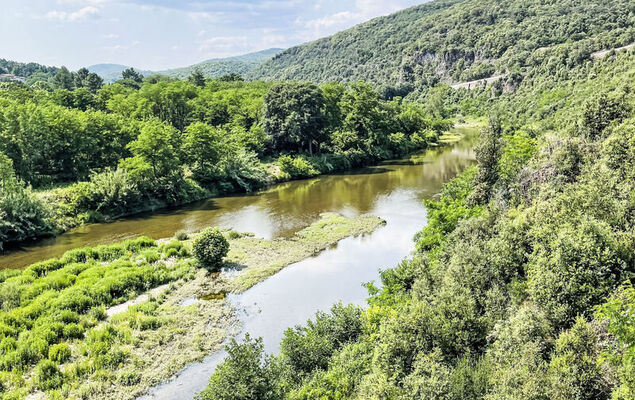 Castellas - Photo 17