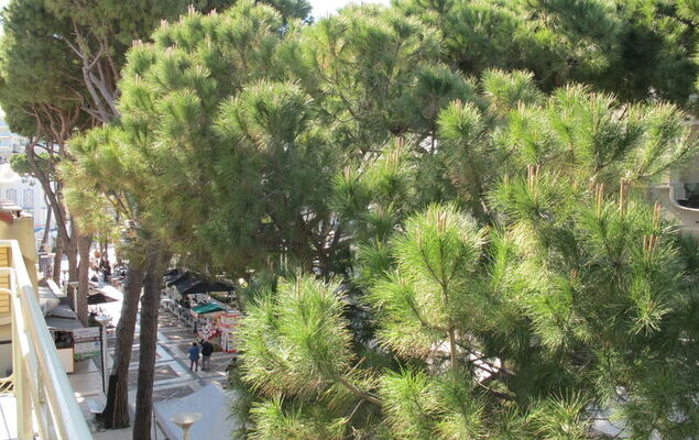 Bellavista 4 - Photo 15