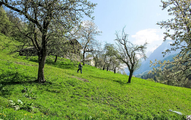 Achtalgut - Photo 15