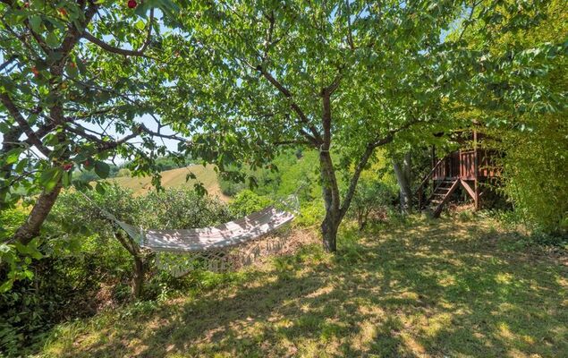 Casale Antica Pietra - Photo 48