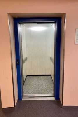 Kamelienweg - Photo 11