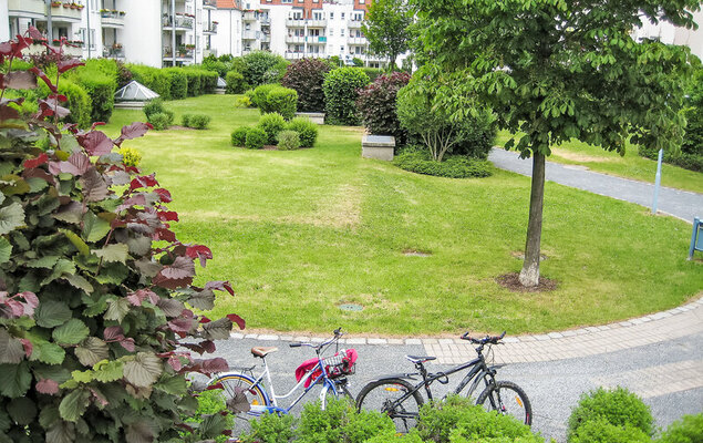 Kamelienweg - Photo 13