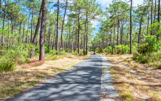 Cottage Etoile de mer - Photo 20