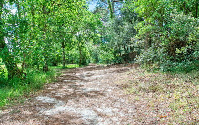 Cottage Etoile de mer - Photo 44