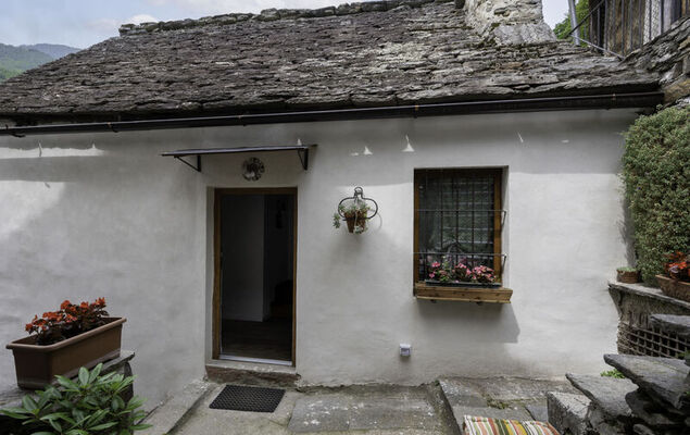 Il Gianlupo Grigio - Photo 20