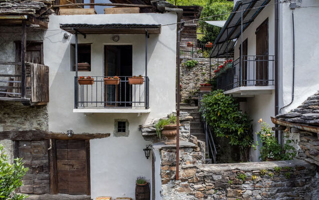 Il Gianlupo Grigio - Photo 25