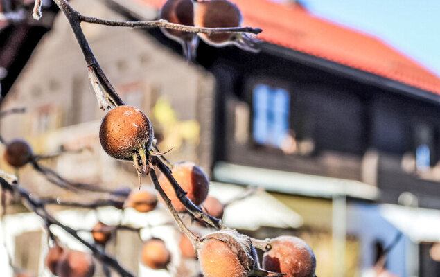 Weissenbach - Photo 32