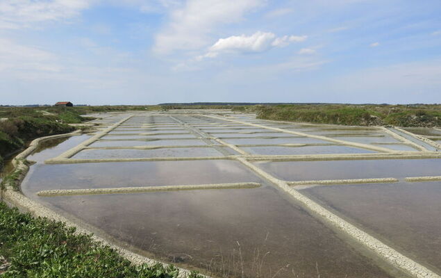 Charme de la Plage de Port Lin - Photo 46