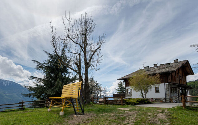 Chaouette - Photo 27