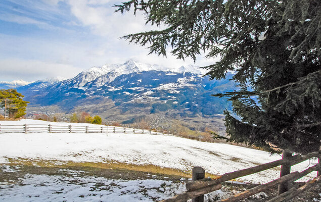 Chaouette - Photo 31