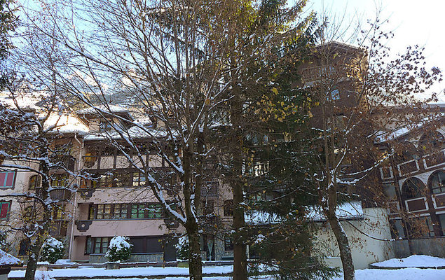 Jonquilles - Photo 4